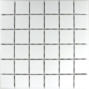 Dublin White Mosaic 48mm R-11 a/slip (30x30)
