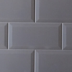 Bisel Plata Brillo (10x20)