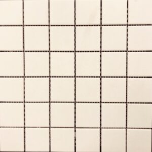 Dublin Beige Mosaic 48mm R-11 a/slip (30×30)