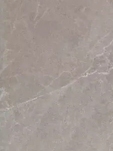 Olympia Gris (60 x120)