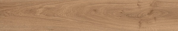 Marrone Latina Rectified (20x120)