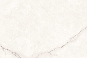Torso Bianco Gloss (30x90)