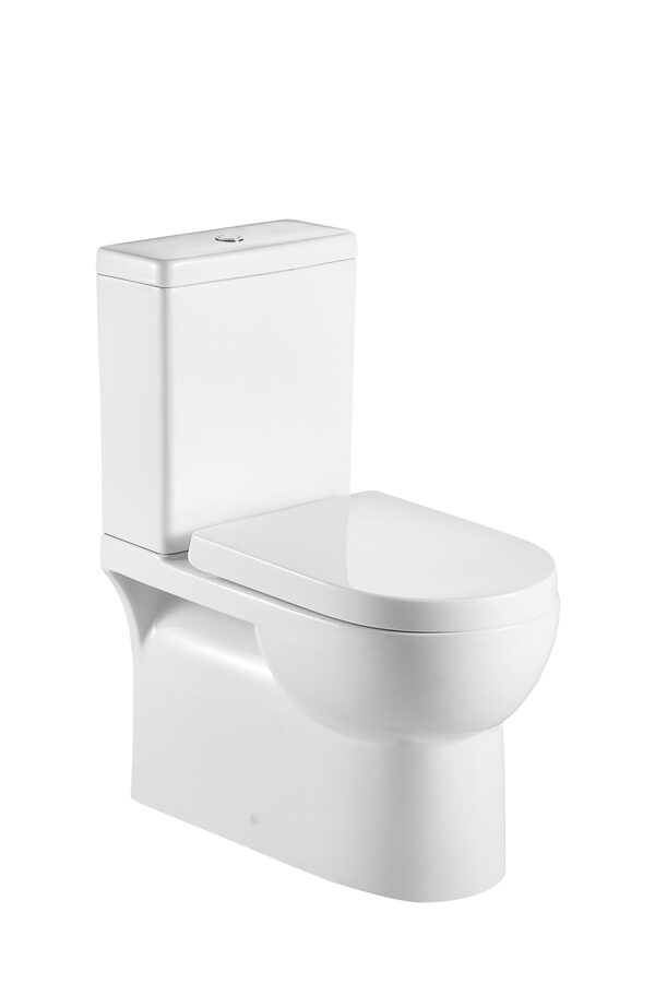 Naples Back-to-Wall Toilet