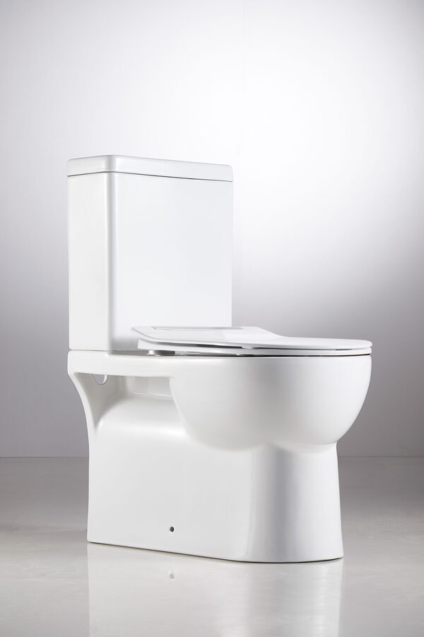 Naples Back-to-Wall Toilet - Image 2
